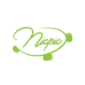 logo-design-aus-landau-nicpic